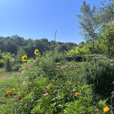 Le Clos Des Berges De L'ain * Charnoz-sur-Ain