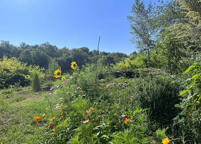 Le Clos Des Berges De L'ain * Charnoz-sur-Ain