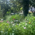 Le Clos Des Berges De L'ain Charnoz-sur-Ain