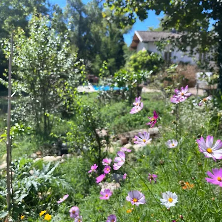 فندق مبيت وإفطار Le Clos Des Berges De L'ain Charnoz-sur-Ain