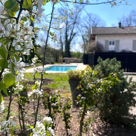 فندق مبيت وإفطار Le Clos Des Berges De L'ain Charnoz-sur-Ain